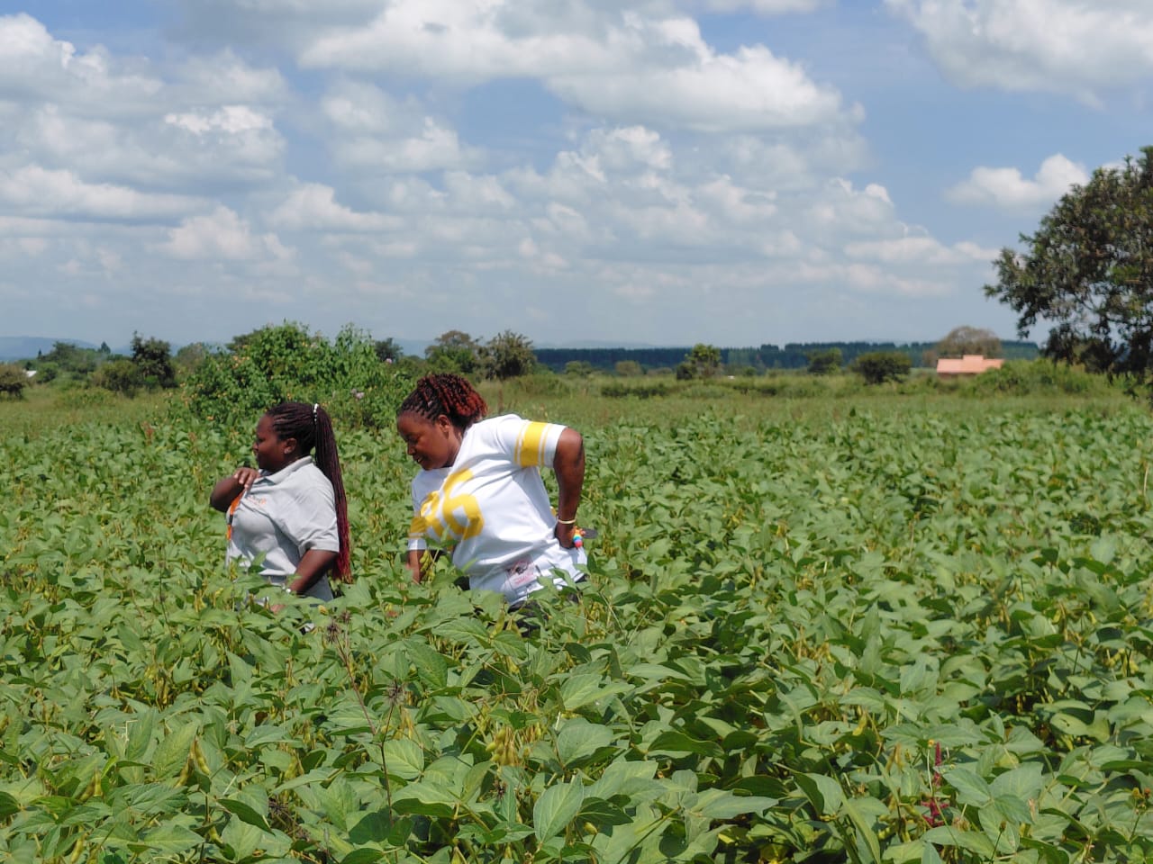 Farmer field visit